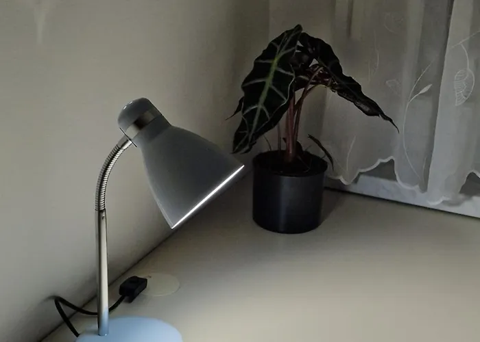 아파트 Lastovka 류블랴나