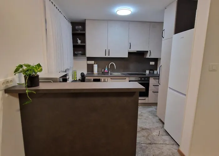 Lastovka * 류블랴나